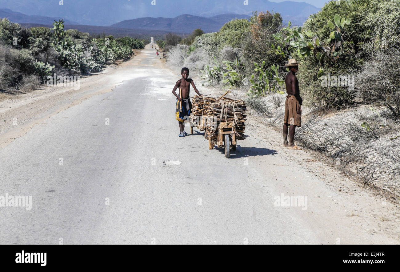 Madagascar, primitive farming Stock Photo