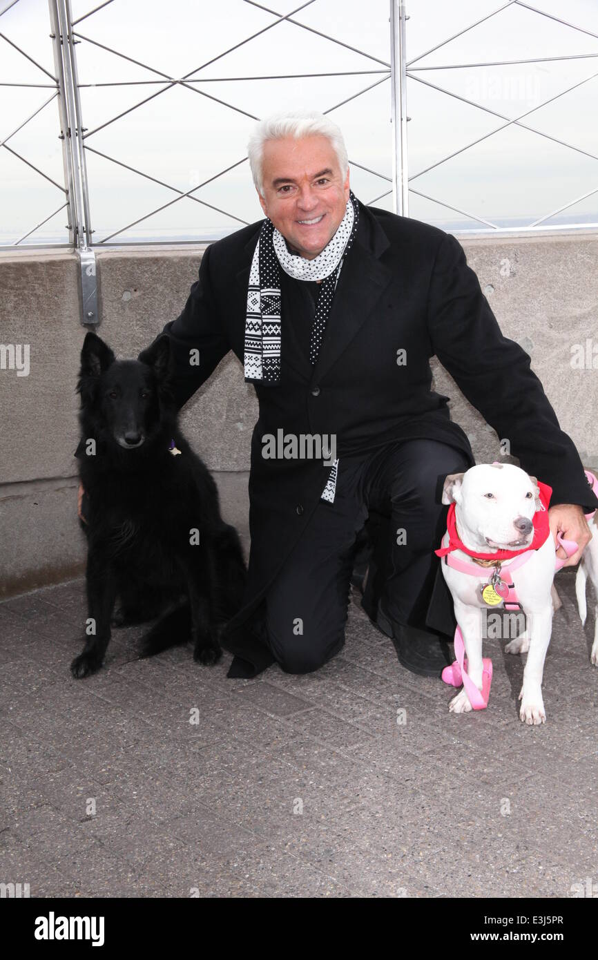 John o hurley national dog show hot sale