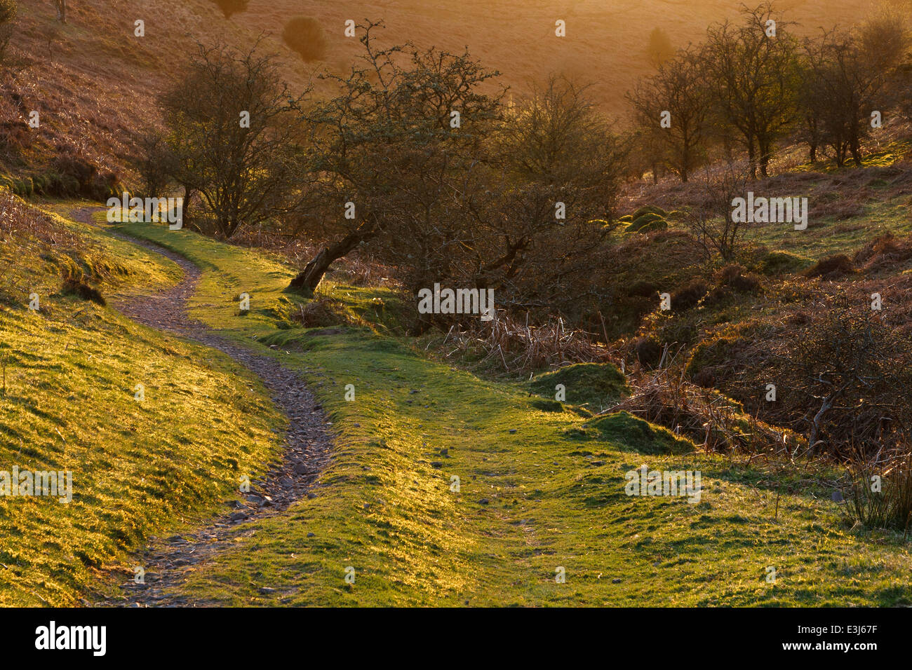 a picturesque valley in the Quantock Hills, Somerset Stock