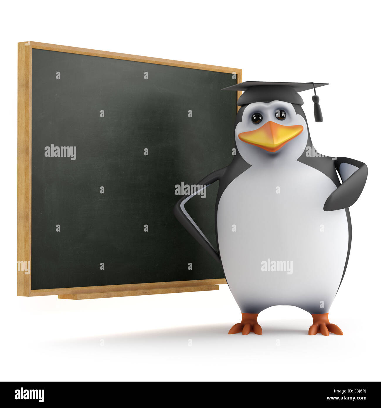 3d Graduate penguin stands near the blackboard Stock Photo - Alamy