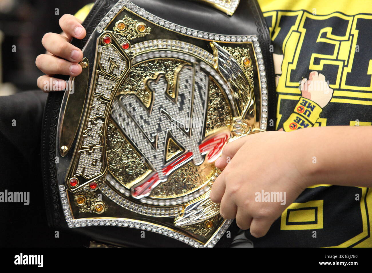 wwe championship belt kmart