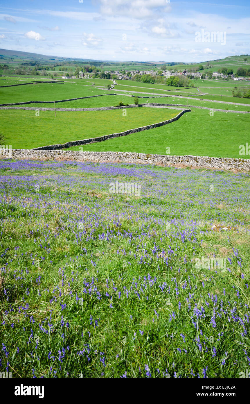 Bluebells and Austwick in the Yorkshire Dales Stock Photo