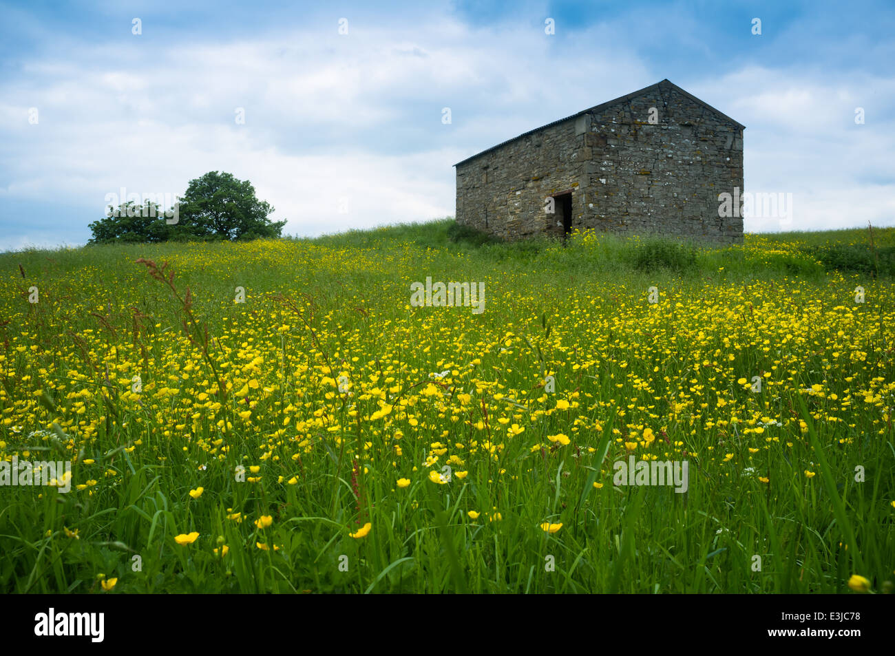 Dales meadow and barn Stock Photo