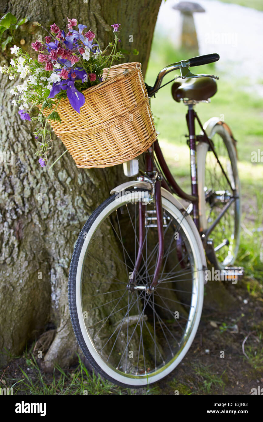 Old Fashioned Bicycle Leaning Against Tree Stock Photo