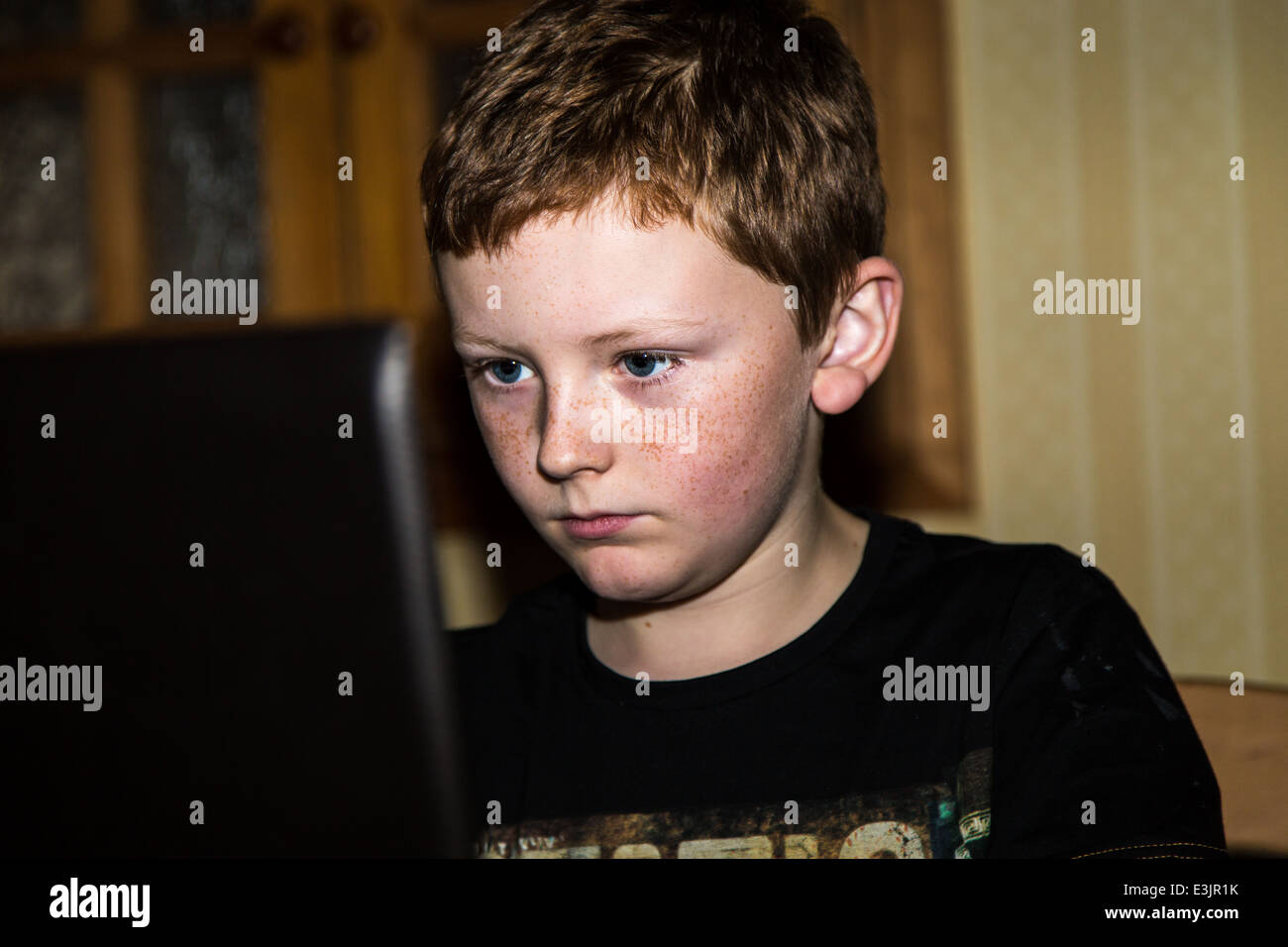 Young boy doing his homework on a computer Stock Photo