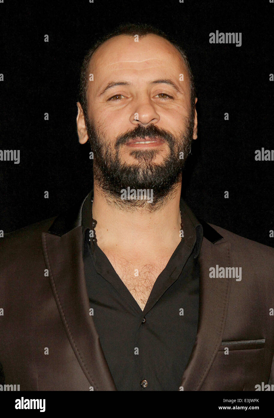 Premiere of 'Lone Survivor' held at the Ziegfeld Theater - Arrivals  Featuring: Ali Suliman Where: New York City, New York, United States When: 03 Dec 2013 Stock Photo