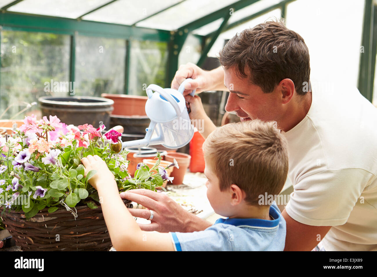 Father And Son Watering Plants In Greenhouse Stock Photo