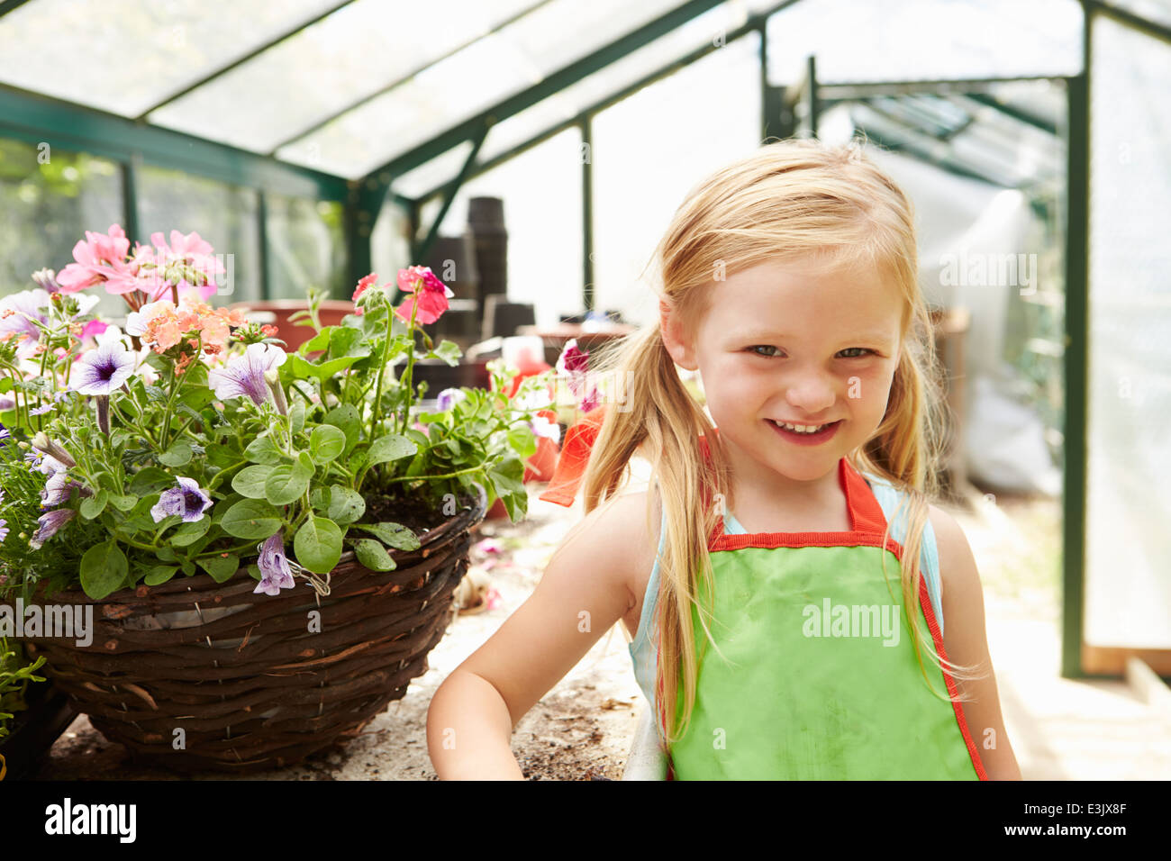 Girl Growing Plants In Greenhouse Stock Photo