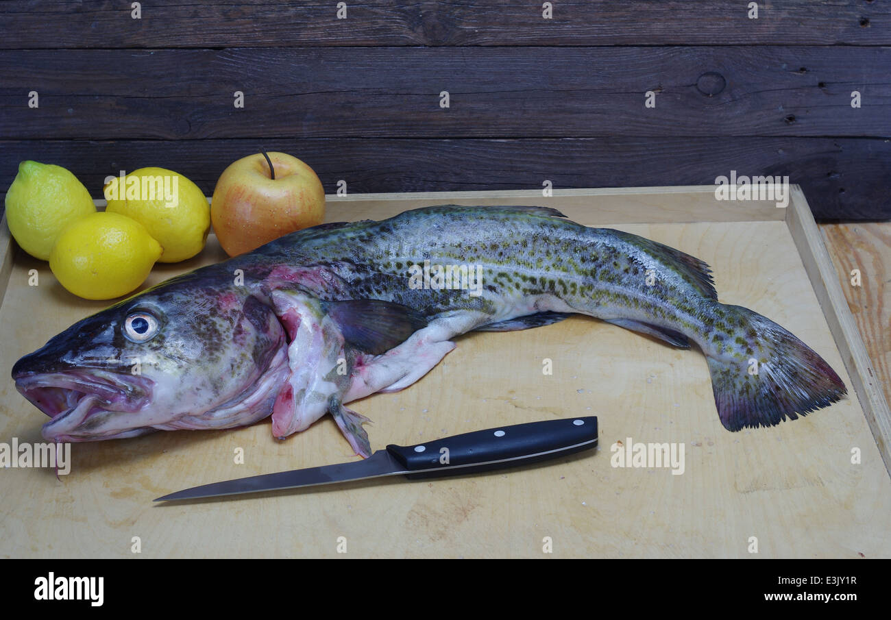 big codfish ond knife on wooden board Stock Photo