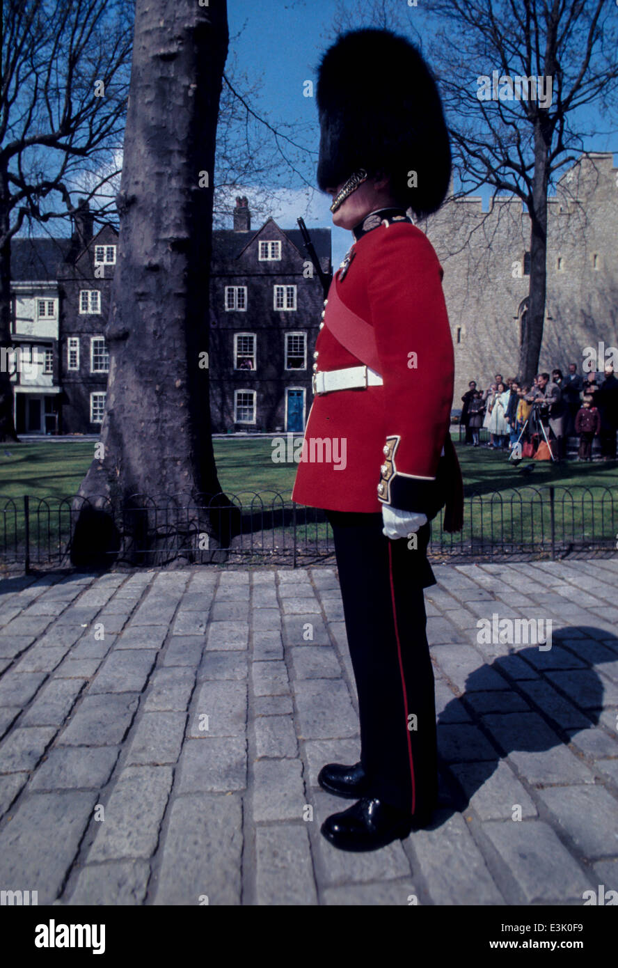 queen's guard,london,uk Stock Photo