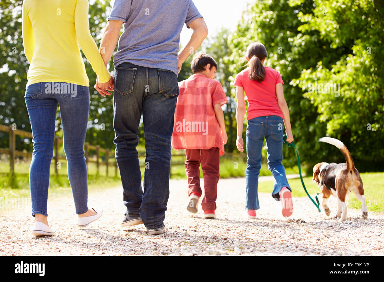 Rear View Of Family Taking Dog For Walk In Countryside Stock Photo