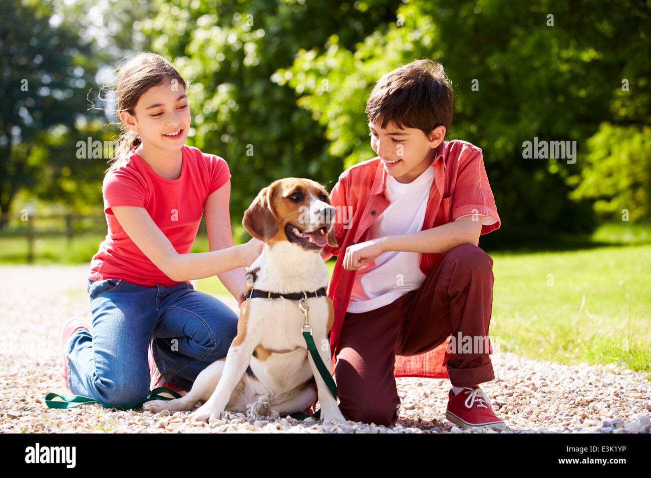 Hispanic Children Taking Dog For Walk In Countryside Stock Photo