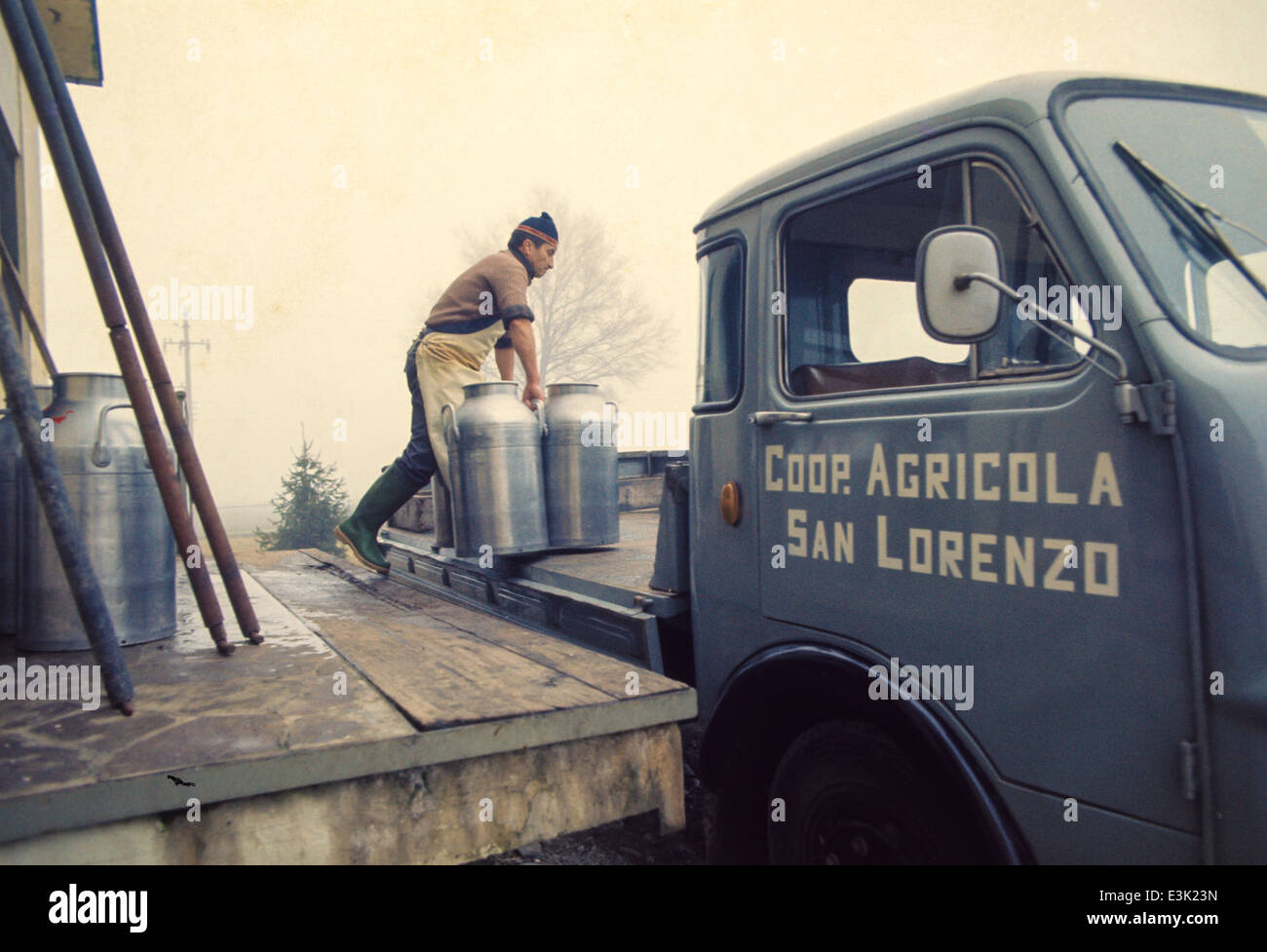 san lorenzo agricultural cooperative,milk container Stock Photo