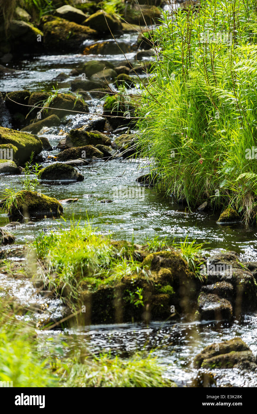A Mountain Stream, Ballypatrick Forest County Antrim Northern Ireland Stock Photo
