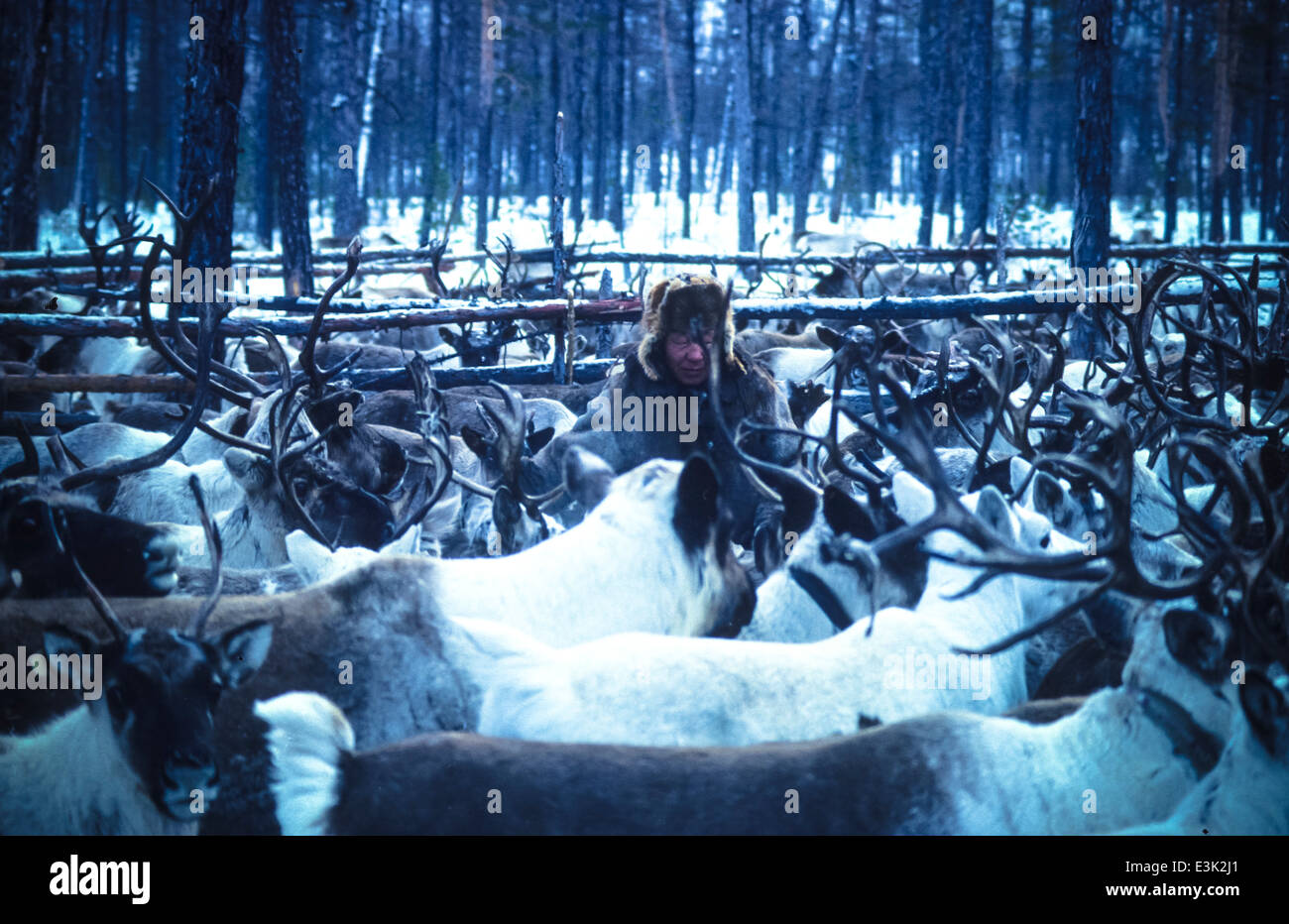 Yalangoch Evenki ayollar fotosuratlari