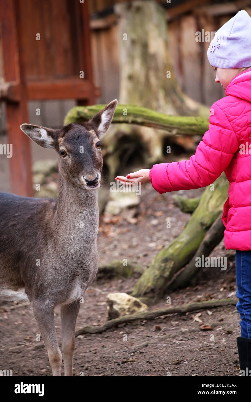 Child young girl feeding deer hires stock photography and images Alamy