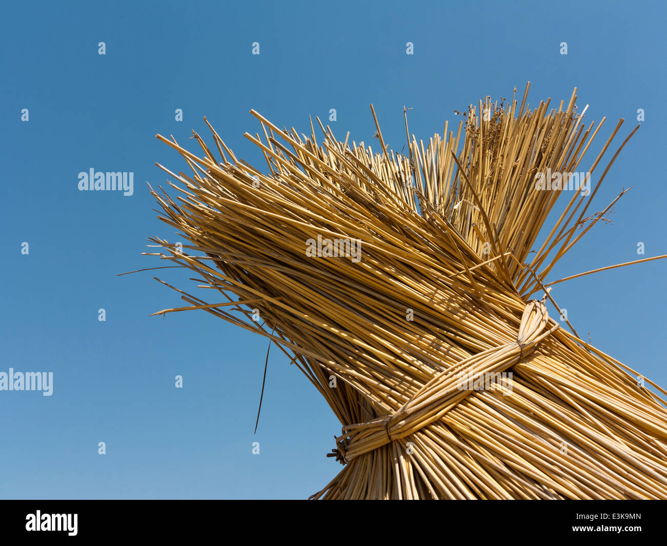Close up detail the gathered top of straw sunshade umbrella against a vivid blue sky Stock Photo