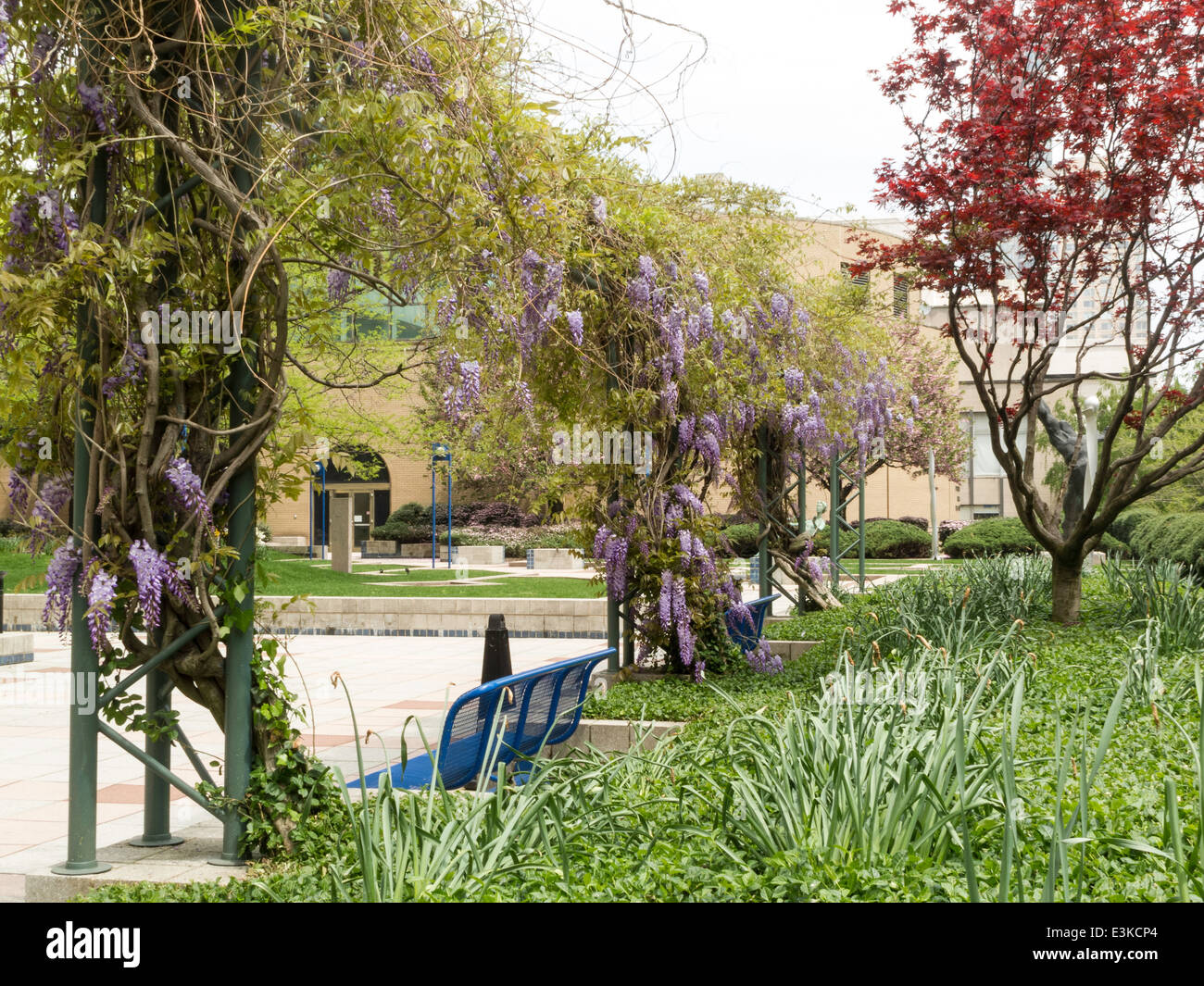 Fordham University, Lincoln Center Campus Grounds in Springtime, NYC, USA Stock Photo