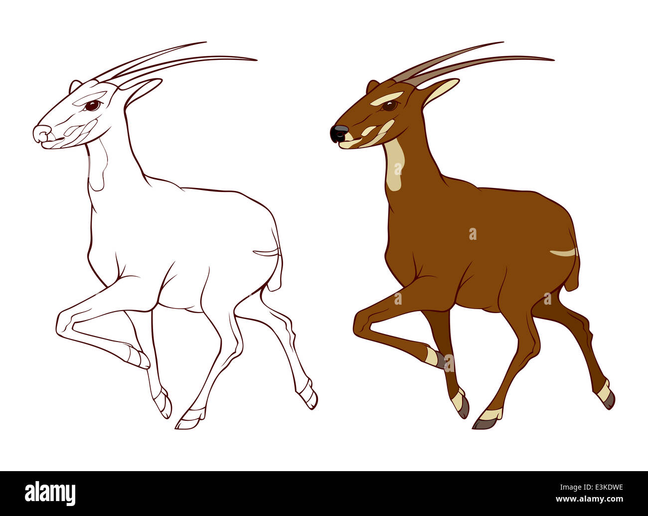 Saola unicorn hires stock photography and images Alamy