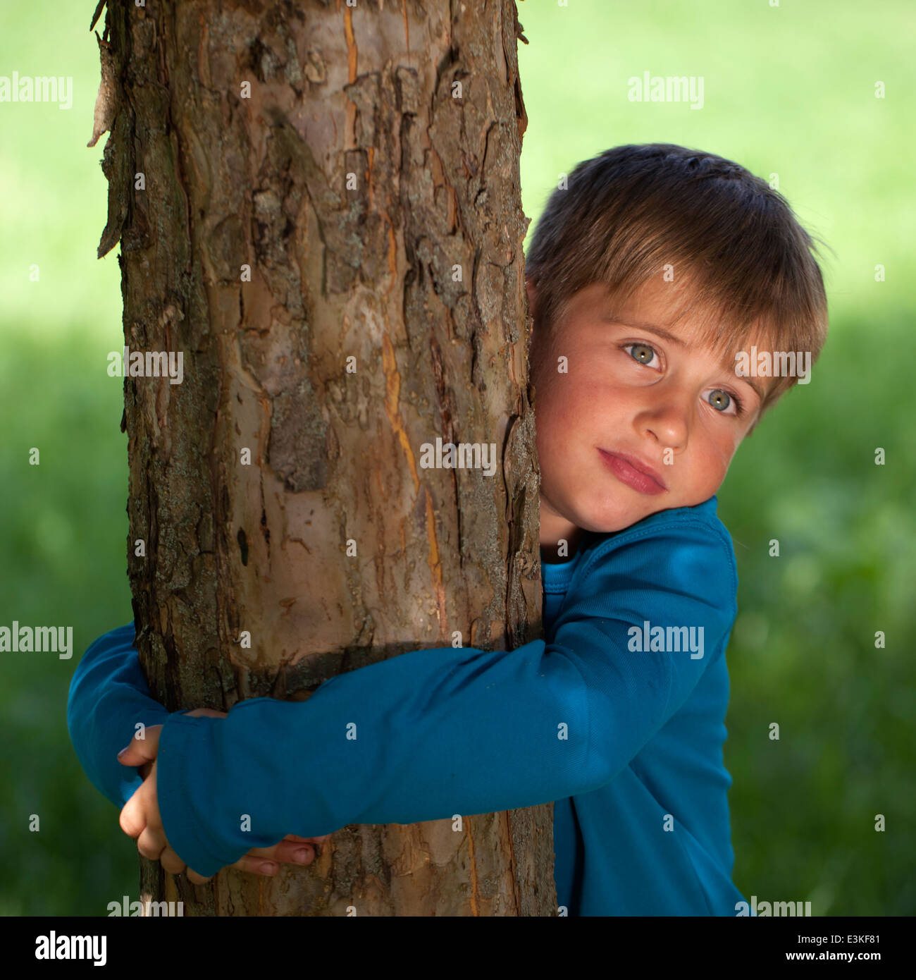 Little boy embracing a tree in a park Stock Photo - Alamy
