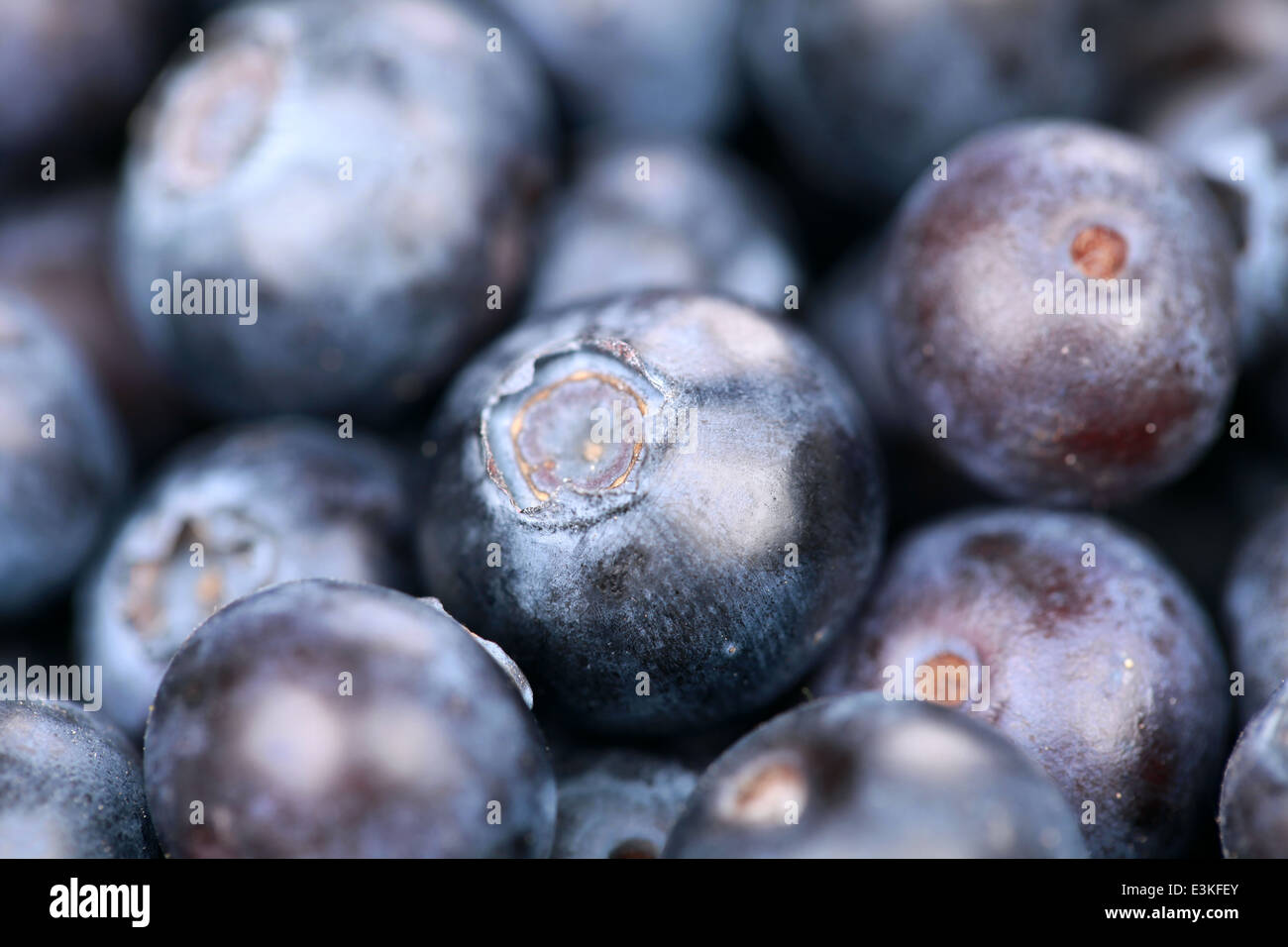 Macro shot of a group of fresh blueberries with shallow depth of field Stock Photo