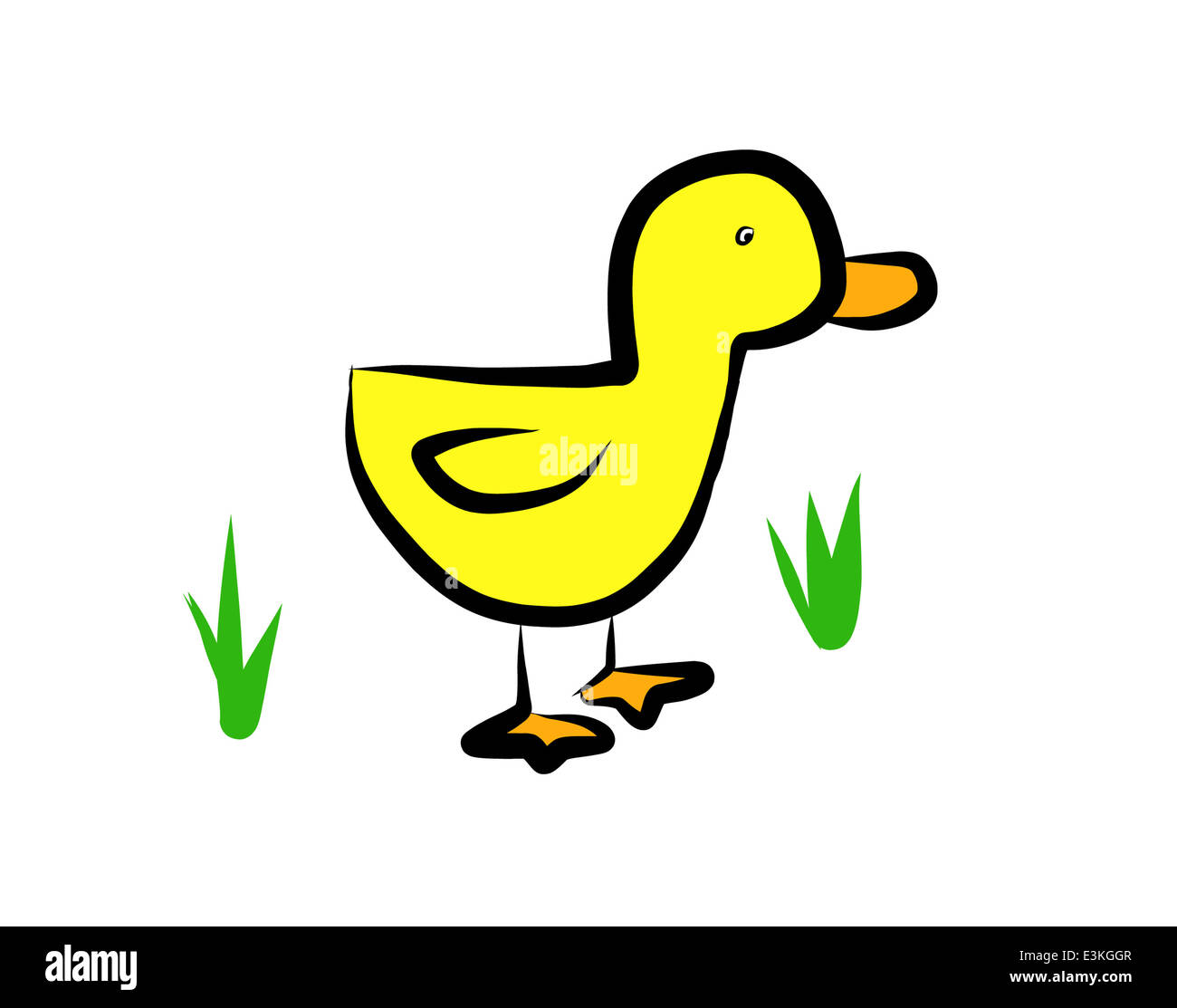 Illustration of a duckling Stock Photo