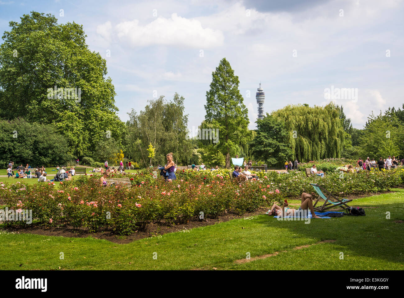 People in the Rose Garden, Regents Park, London, England, UK Stock Photo
