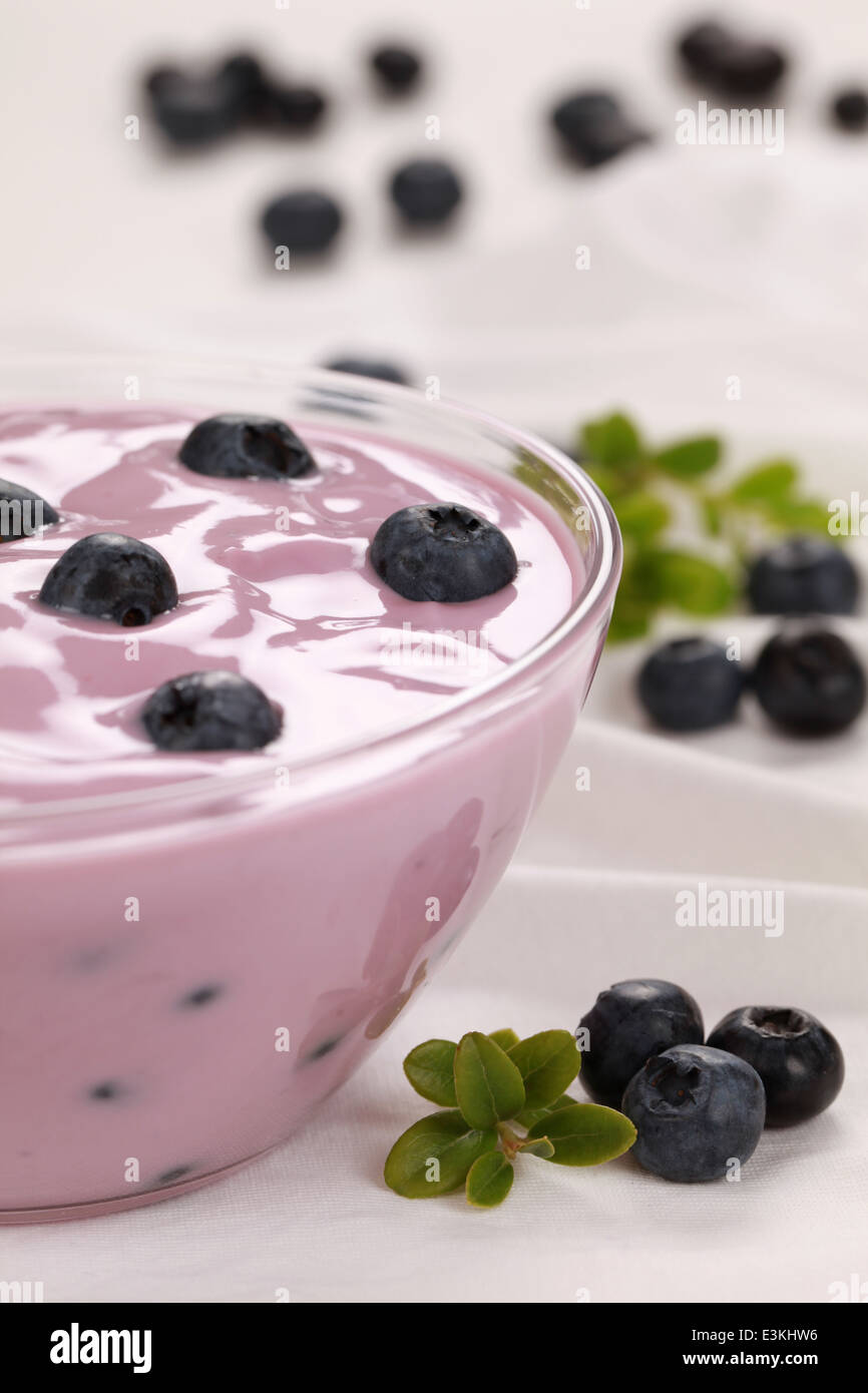Bilberry yogurt in a glass bowl served with fresh bilberries Stock Photo