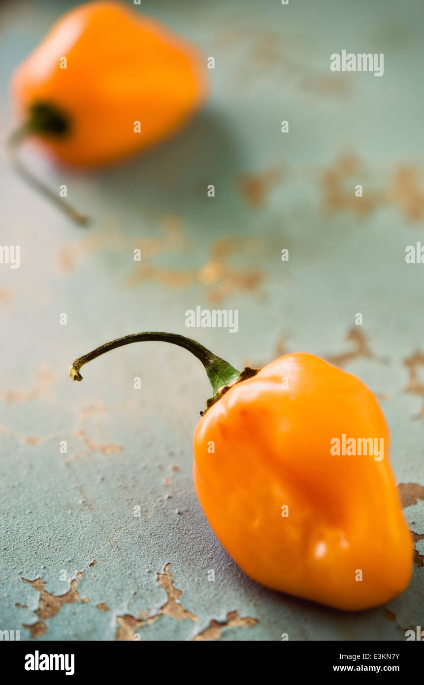 Chili Peppers on Blue Background Stock Photo Alamy