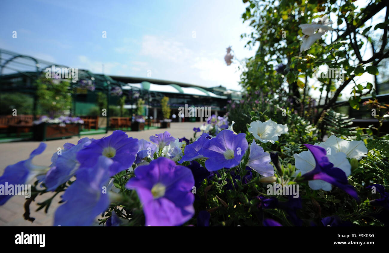 COURT 1 PETUNIA DISPLAYS THE WIMBLEDON THE WIMBLEDON CHAMPIONSHIPS 20 THE ALL ENGLAND TENNIS CLUB WIMBLEDON LONDON ENGLAND 24 Stock Photo