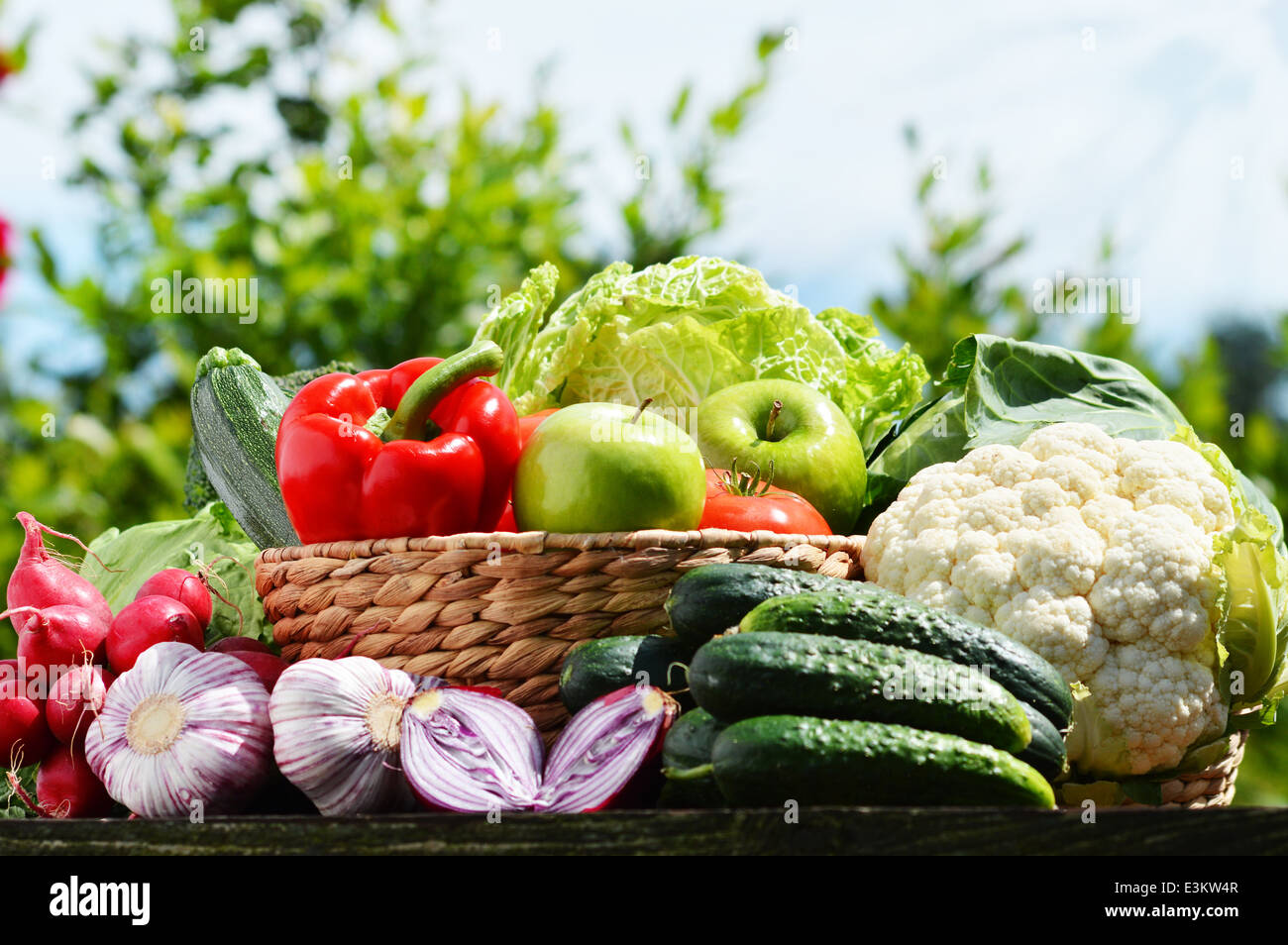 Fresh organic vegetables in wicker basket in the garden Stock Photo - Alamy
