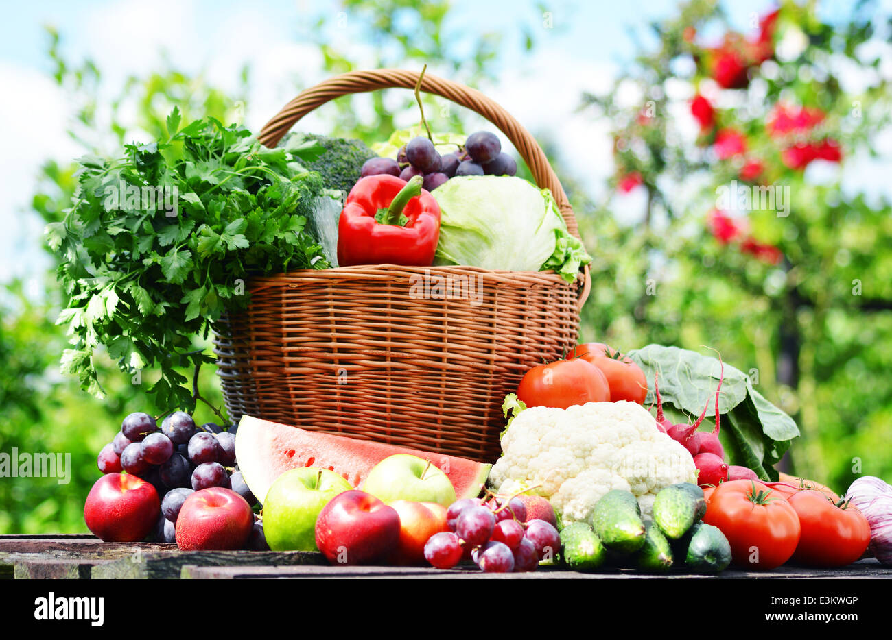 Fresh organic vegetables in wicker basket in the garden Stock Photo - Alamy