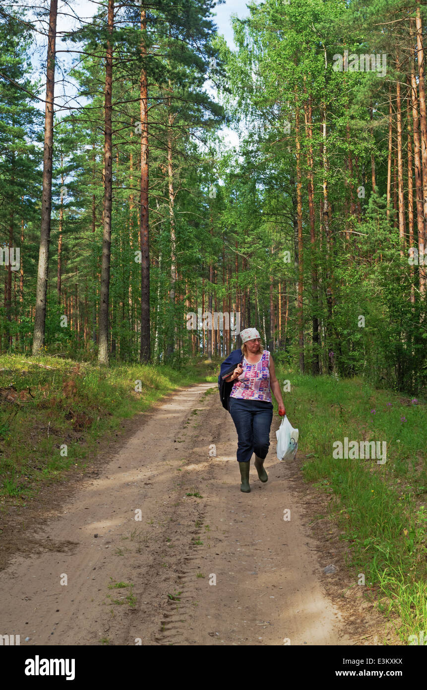Rural lifestyle 2013. The woman picks berries in the forest. Travel on the road. Stock Photo