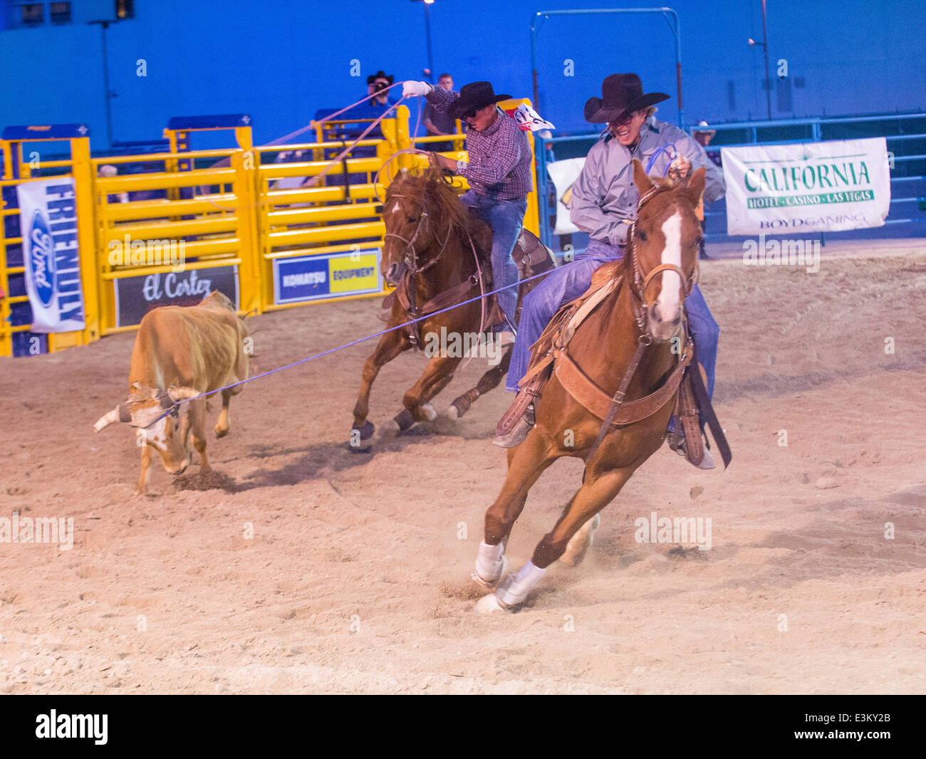 Cowboys Participating in a Calf roping Competition at the Helldorado ...