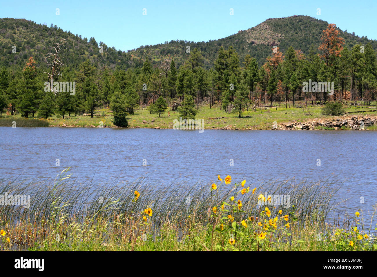 Cataract Lake, Williams Ranger District Stock Photo Alamy