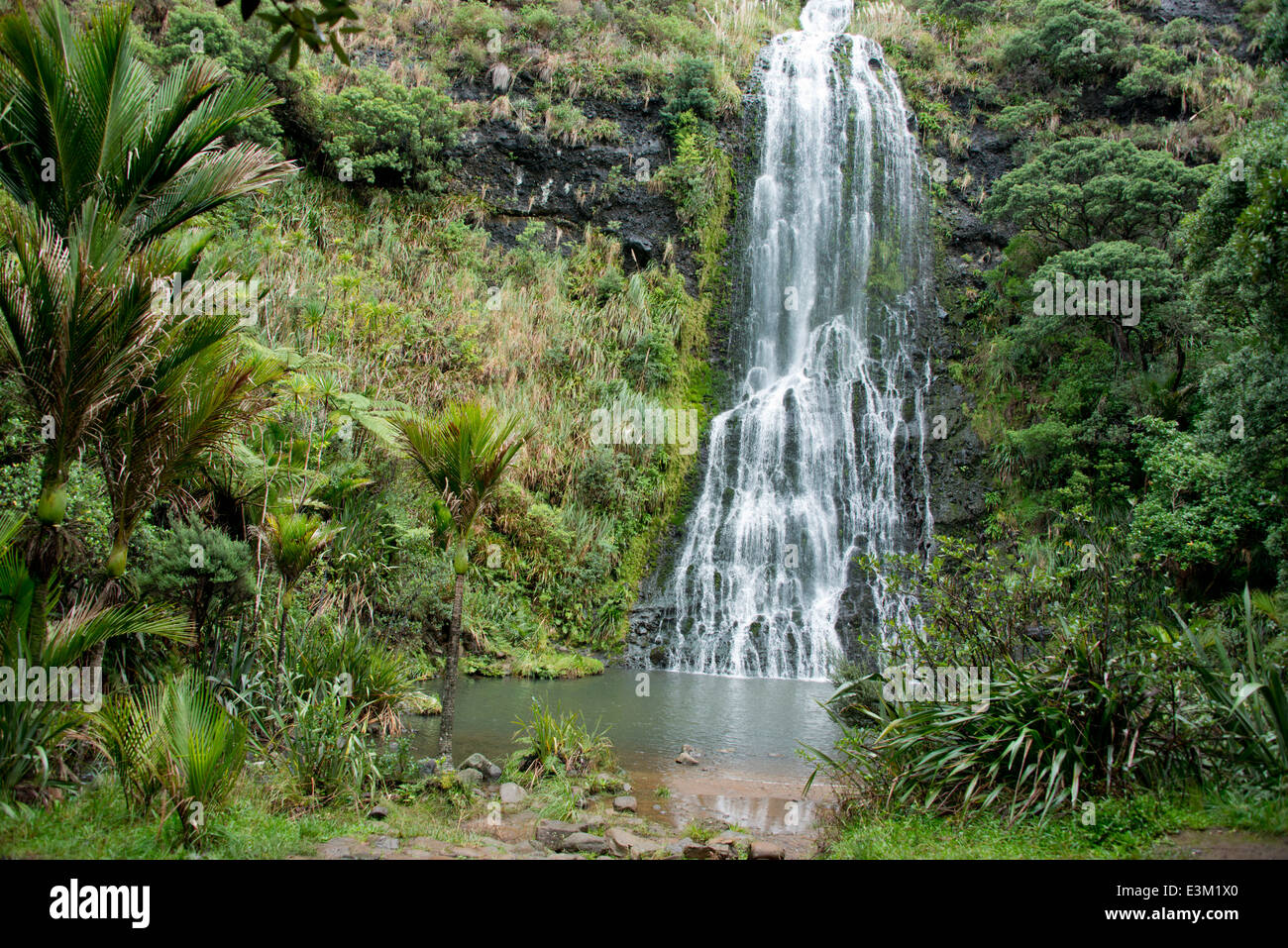 New Zealand, North Island, Auckland. Waitakere Ranges Regional Park  (National Park). Karekare rainforest waterfall Stock Photo - Alamy