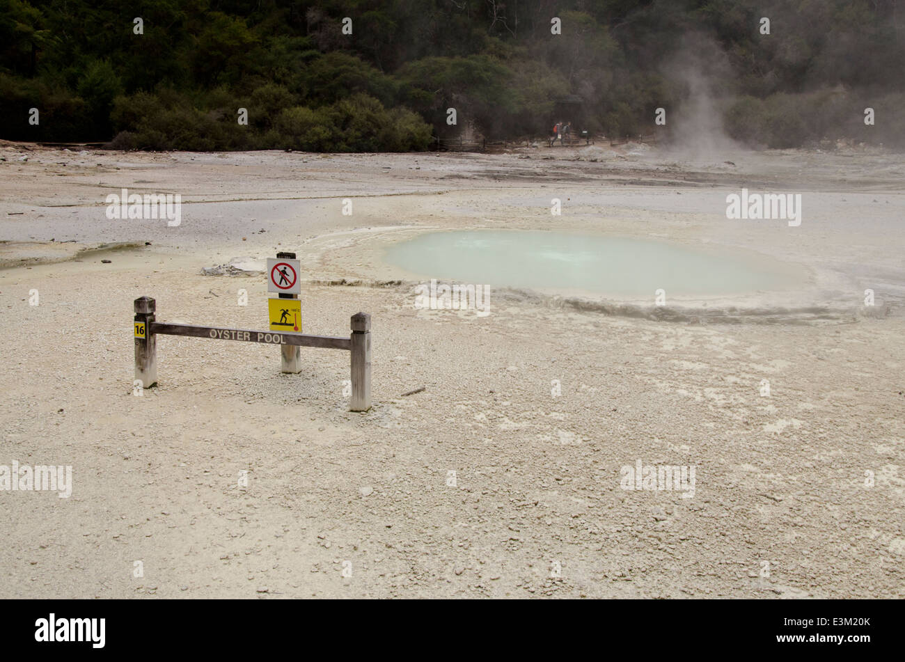New Zealand, North Island, Rotorua, Taupo Volcanic Zone. Wai-o-tapu Valley aka Waiotapu (Maori for Sacred Water) geothermal park Stock Photo