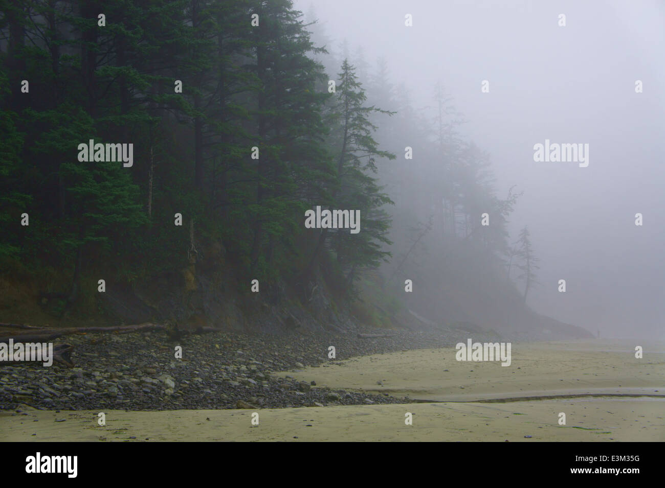 Coastal forest and beach, Oswald West State Park, Oregon Stock Photo