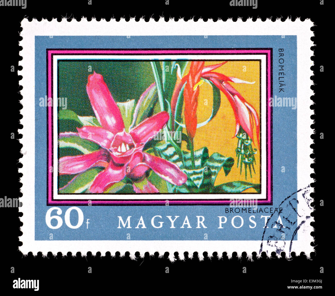 Postage stamp from Hungary depicting bromeliad flowers Stock Photo - Alamy