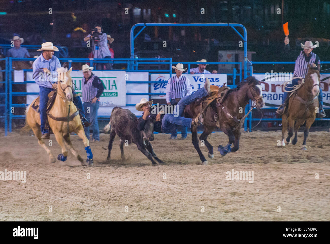 Cowboys Participating in a Calf roping Competition at the Helldorado ...