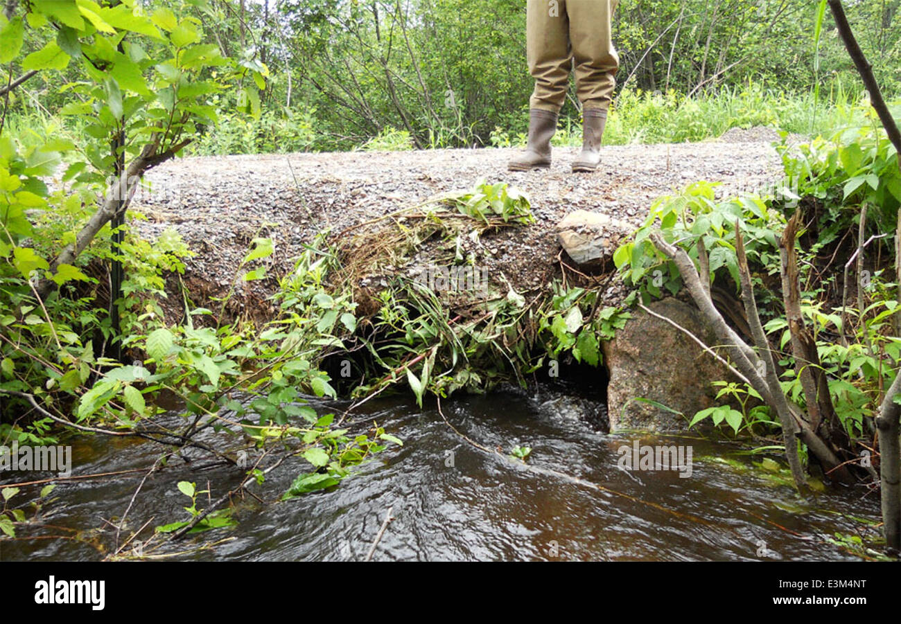 The Norman Creek Culvert is part of the Great Lakes Restoration ...