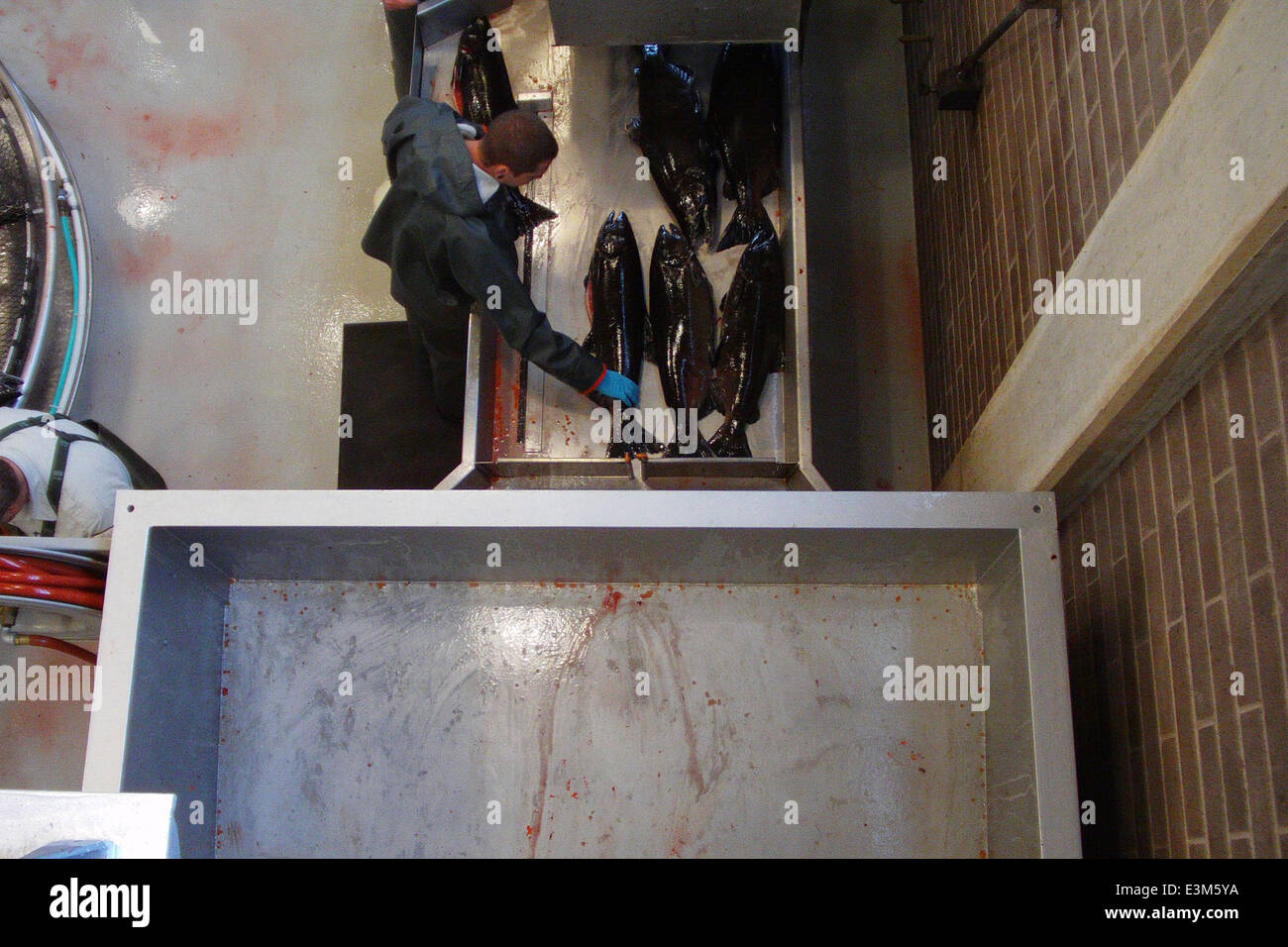 Sample testing hires stock photography and images Alamy