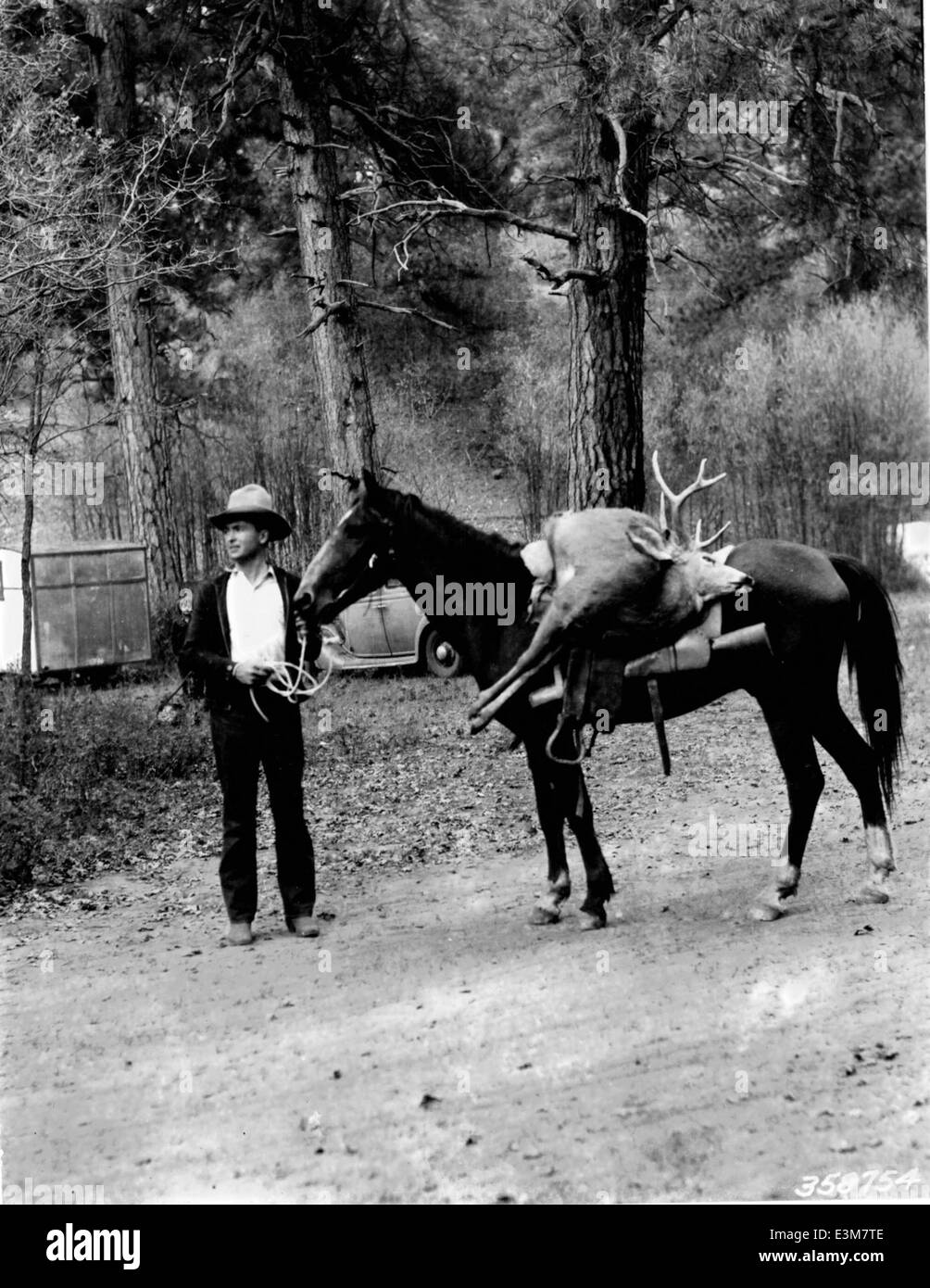 Hunting on Kaibab National Forest Stock Photo Alamy