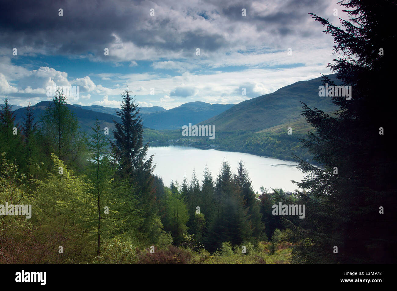 Loch Long and Arrochar from the Cat Craig Loop, the Argyll Forest Park above Glen Croe, Argyll & Bute Stock Photo