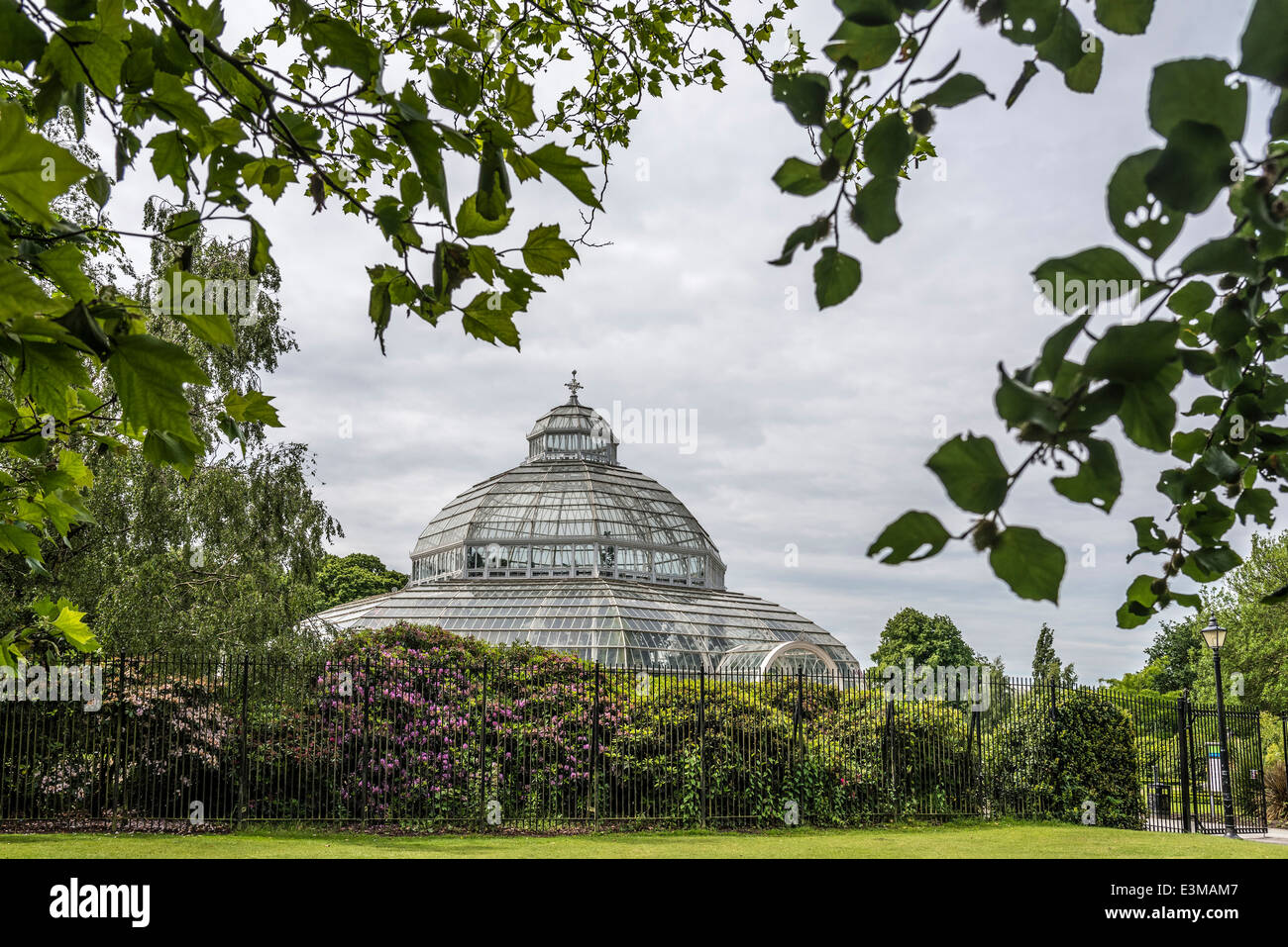 Sefton Park Liverpool The Palm House Stock Photo Alamy
