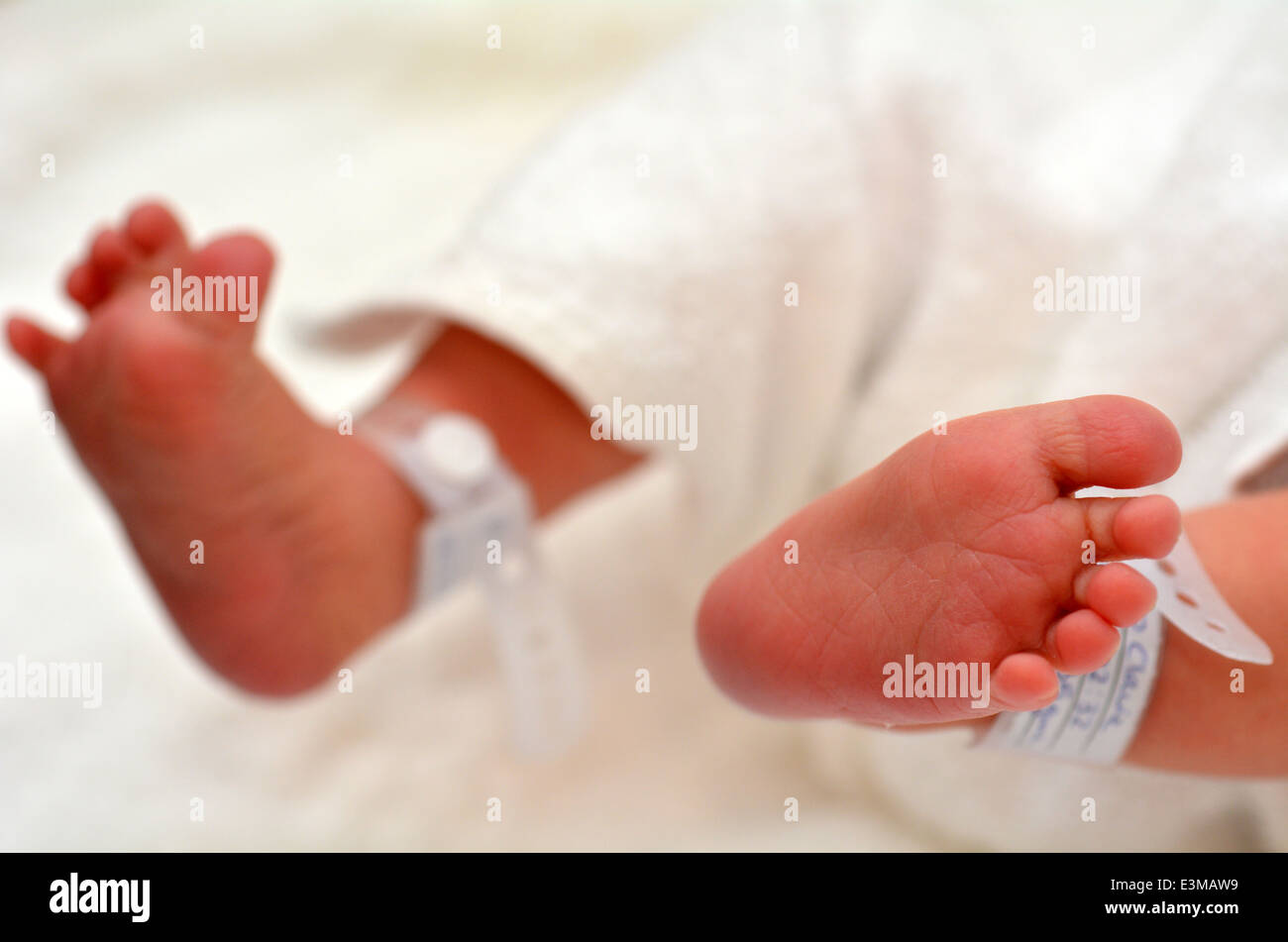 Newborn Baby Foot Identification Bracelet High Resolution Stock