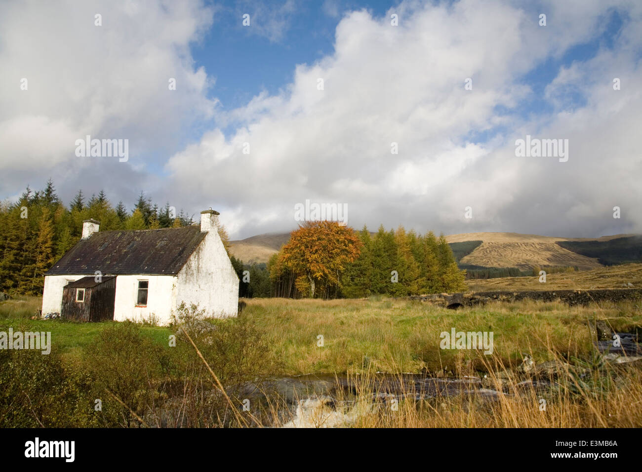 Galloway Forest Park in and around the Rhinns of Kells and the Back