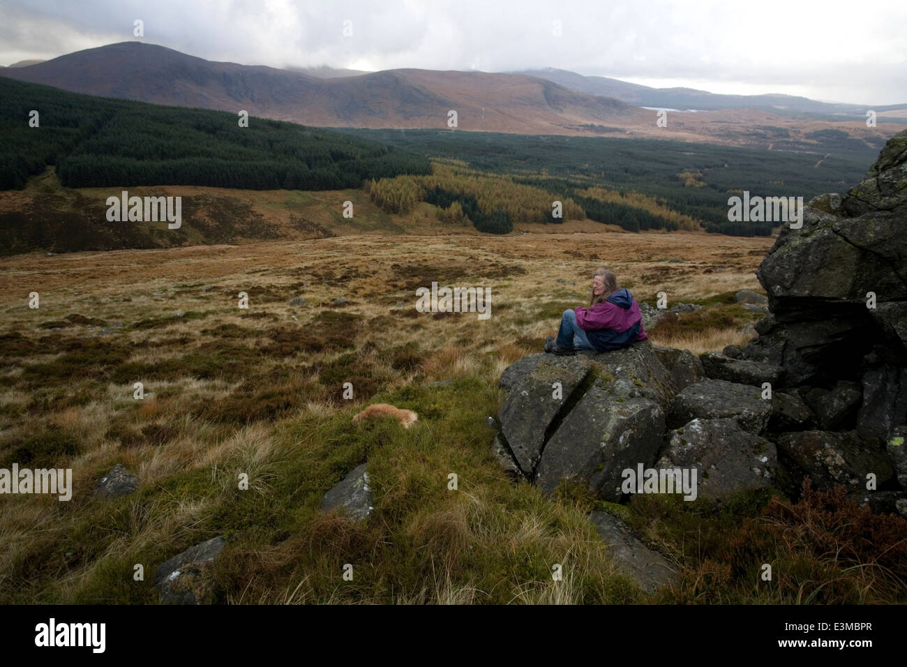Galloway Forest Park in and around the Rhinns of Kells and the Back Hill of Bush Bothy Stock Photo