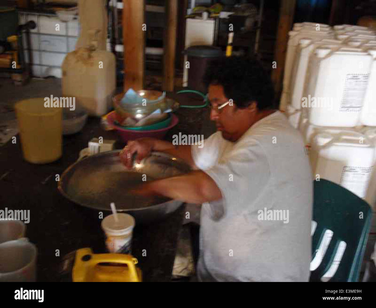 Sturgeon eggs, Rainy River Sustainable Sturgeon Hatchery Stock Photo Alamy