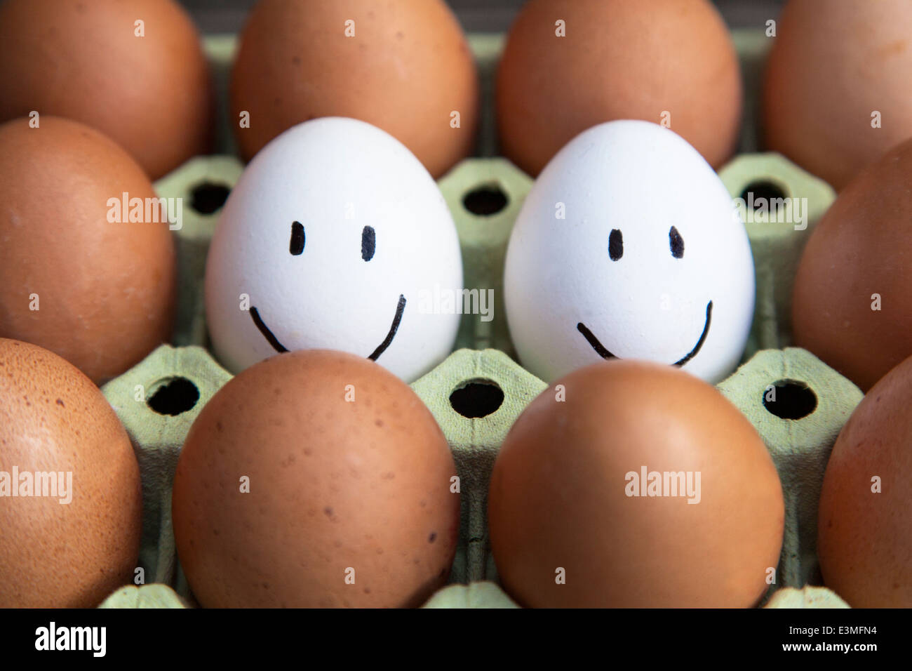 Couple of white eggs with happy faces surrounded by blank brown eggs. Stock Photo